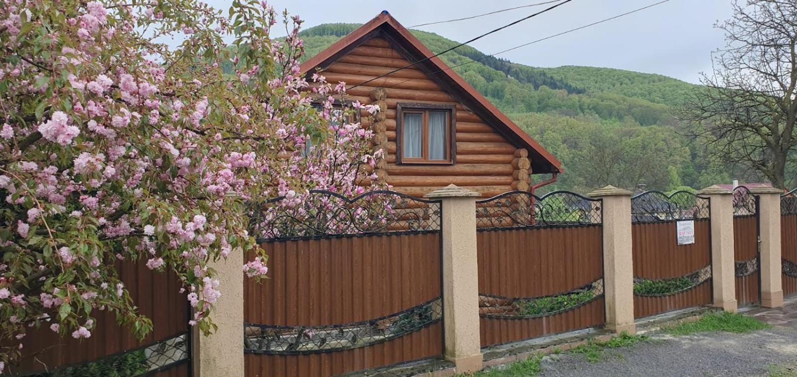 Smerekovyi Dvir Polyana  Luaran gambar